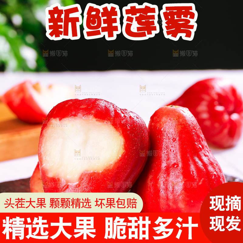浅底上的莲雾