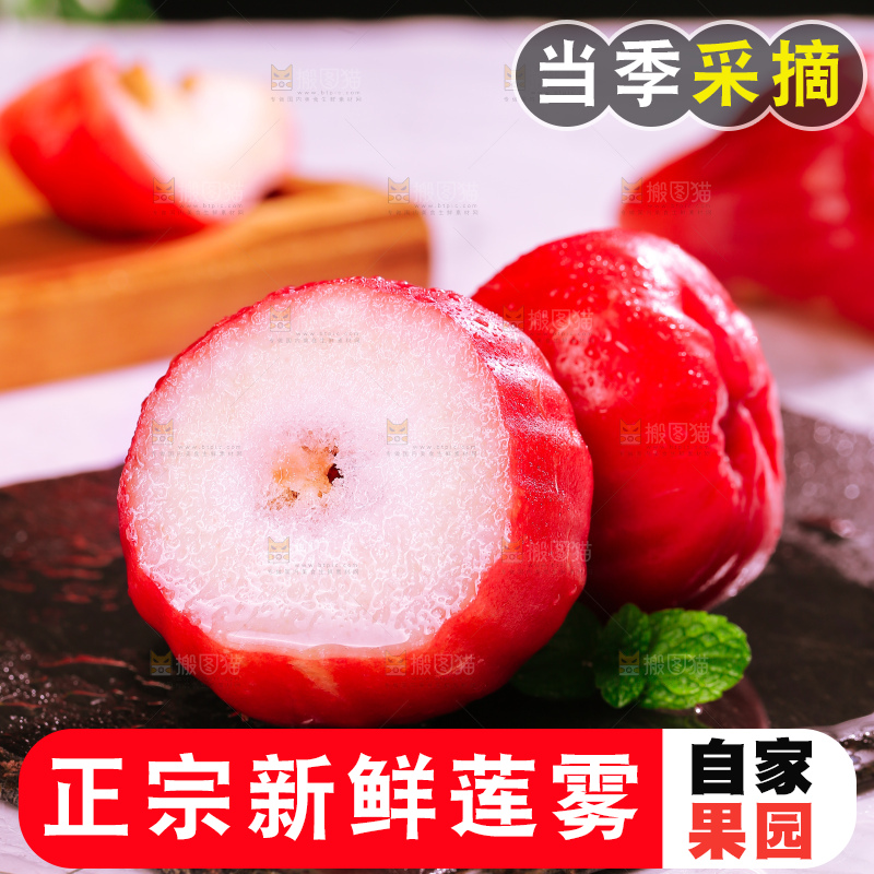 浅底上的莲雾