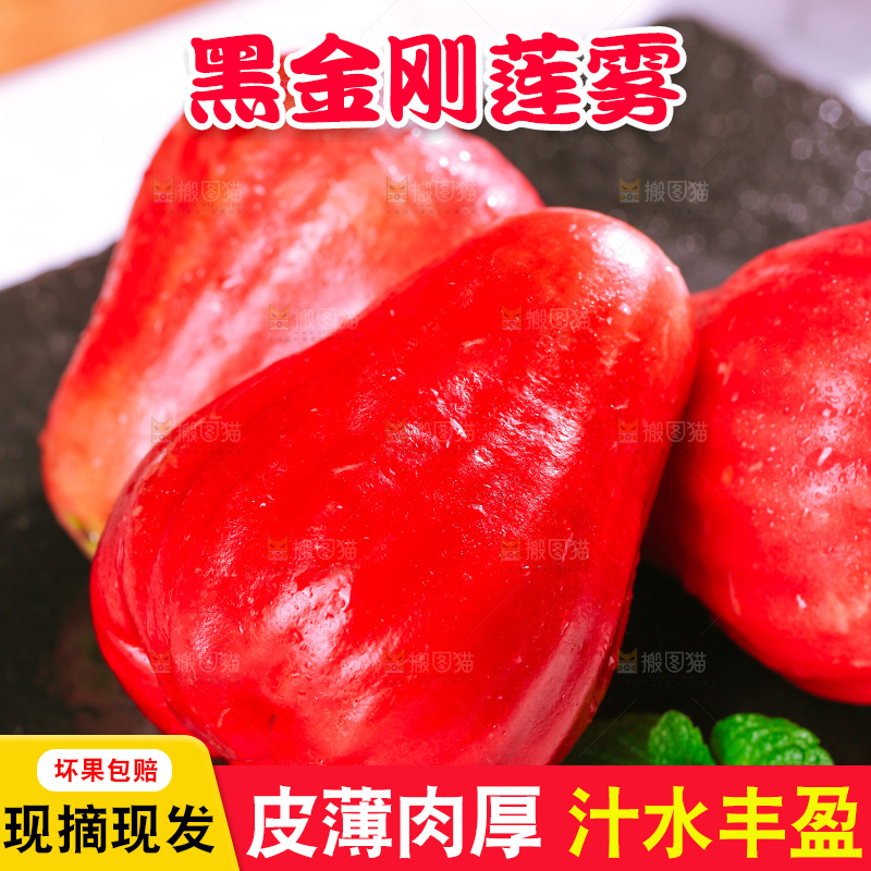 浅底上的莲雾