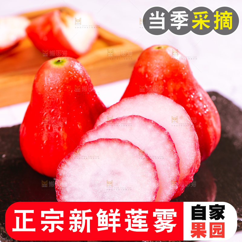 浅底上的莲雾