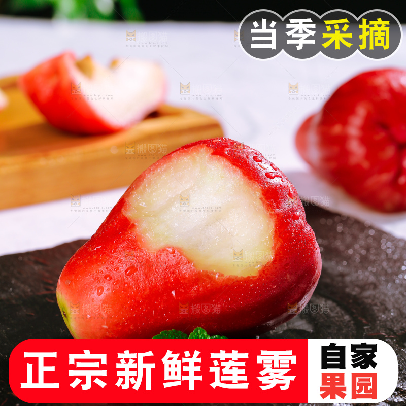 浅底上的莲雾