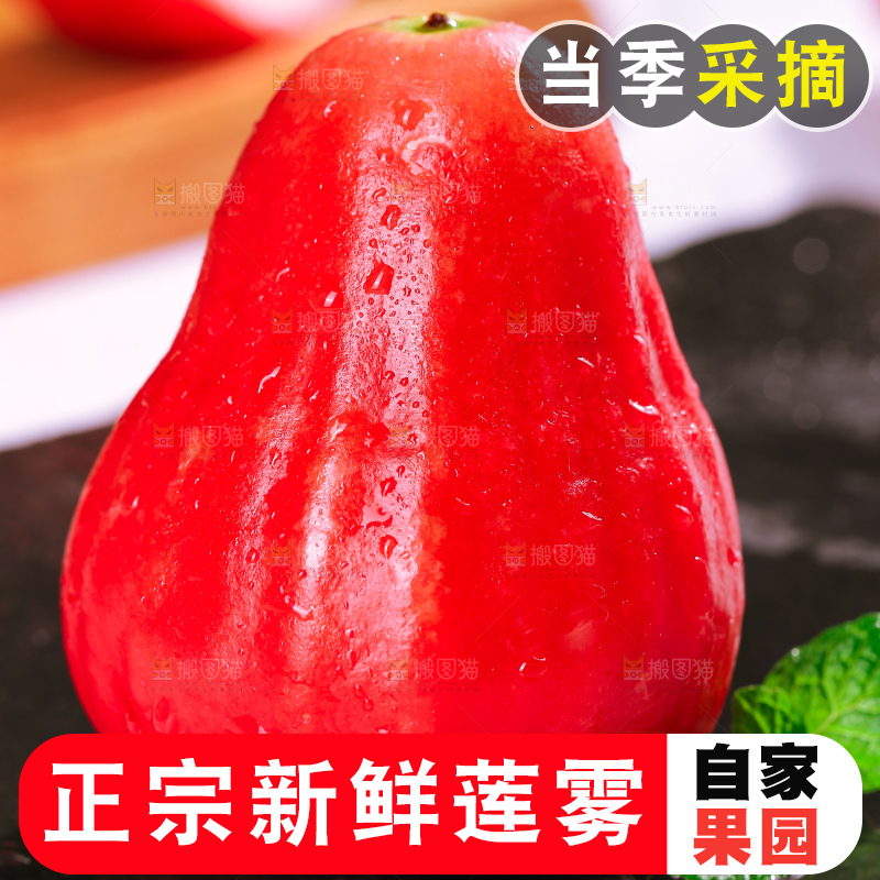 浅底上的莲雾