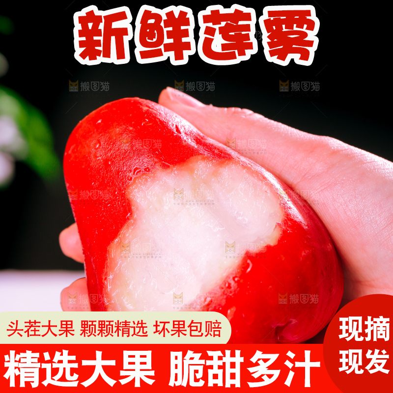 浅底上的莲雾
