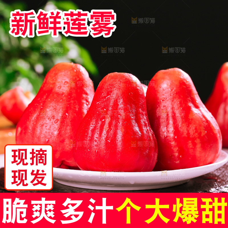 浅底上的莲雾
