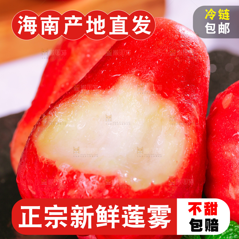 浅底上的莲雾