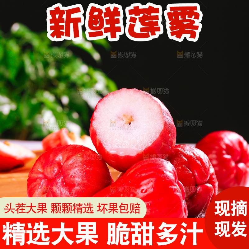 浅底上的莲雾