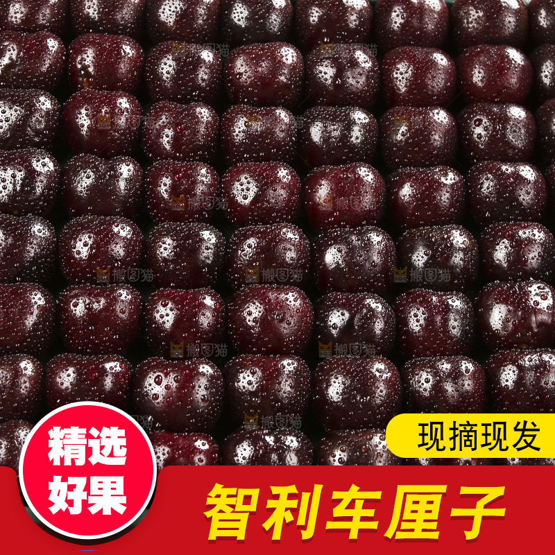 深底上的智利车厘子