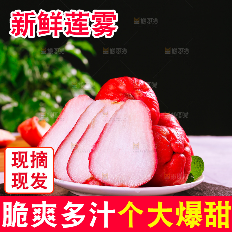 浅底上的莲雾