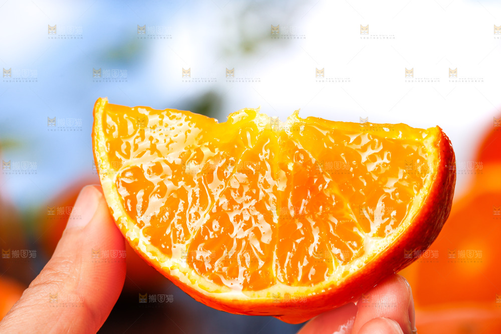 沃柑