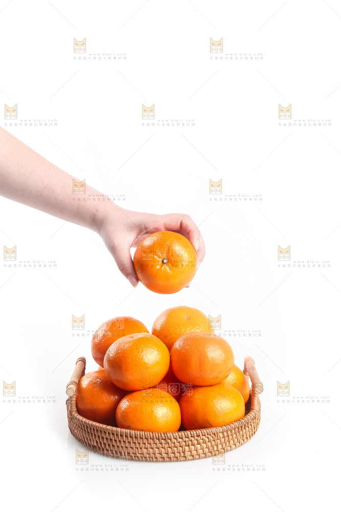 白底上的沃柑