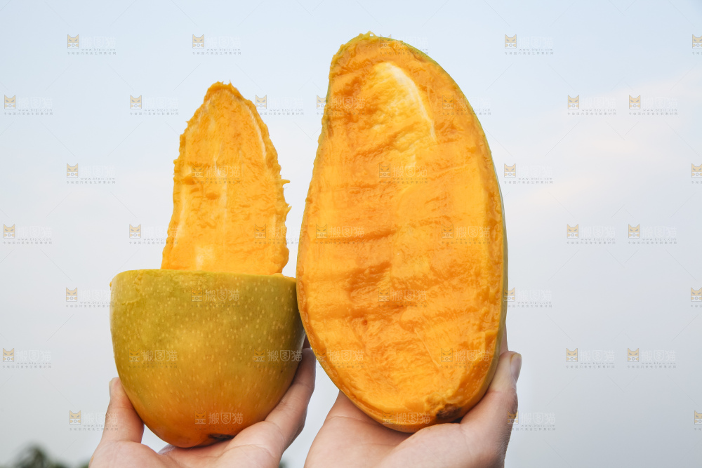 手里拿着金煌芒
