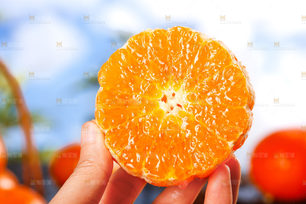 沃柑