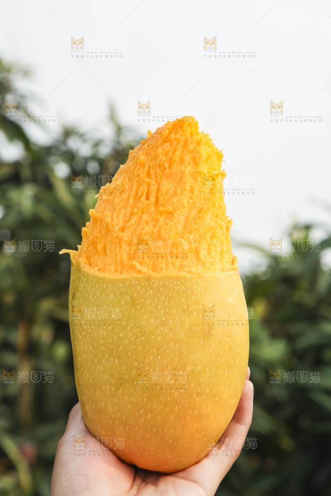 手里拿着金煌芒