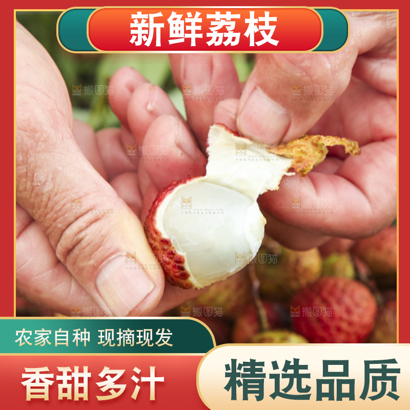 树上的荔枝