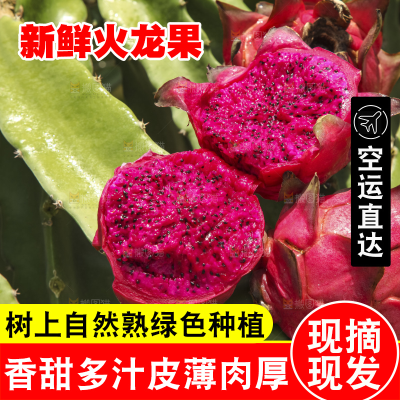 火龙果产地
