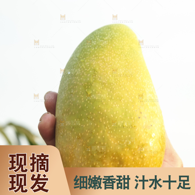 手里拿着金煌芒