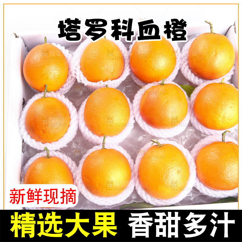 白底上的玫瑰血橙