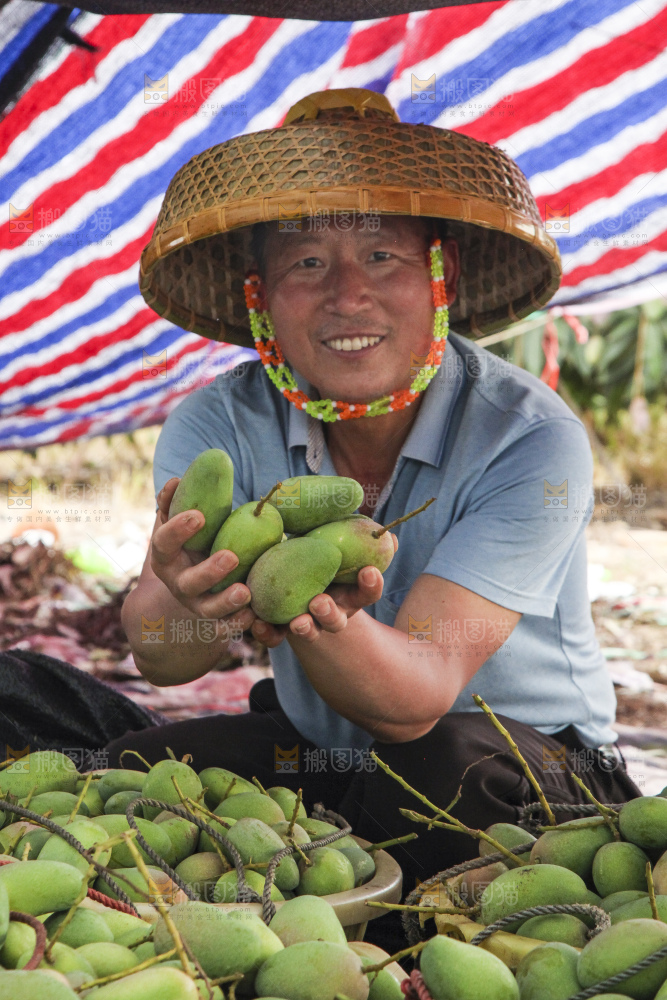 树上的小台芒