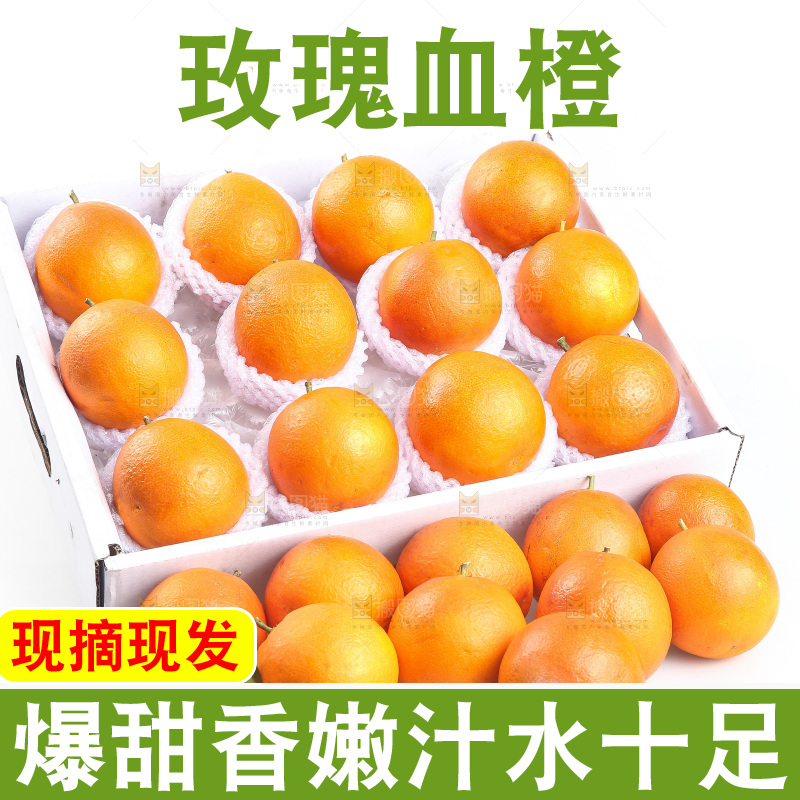 白底上的玫瑰血橙