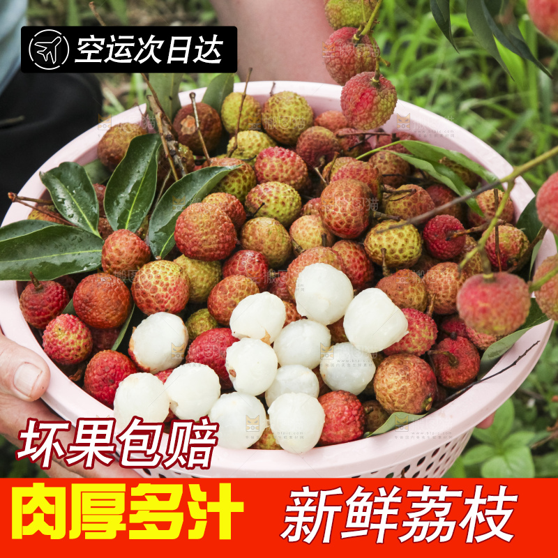 树上的荔枝