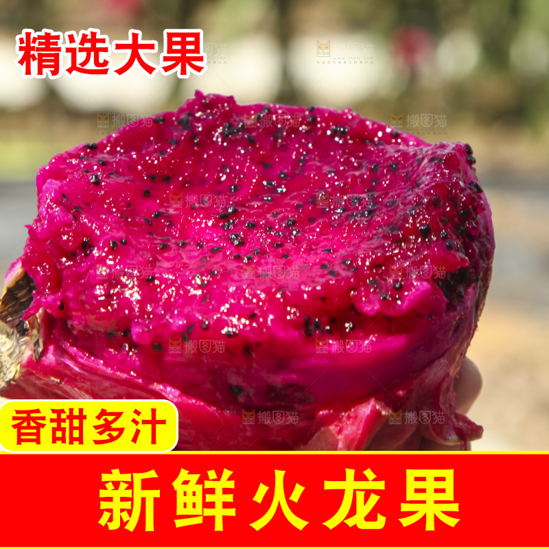 火龙果产地