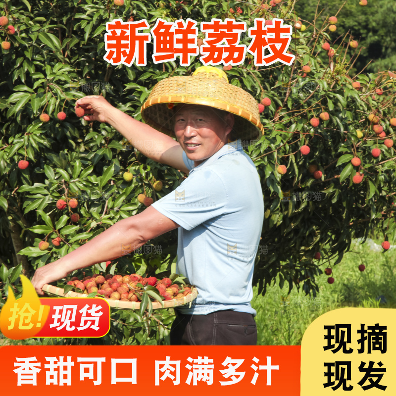 树上的荔枝