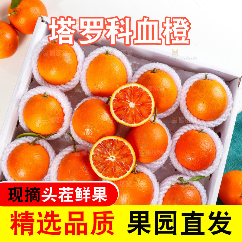 浅底上的塔罗科血橙