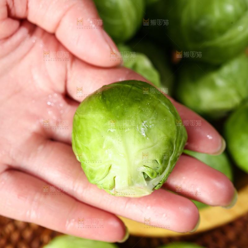 深底上的孢子甘蓝