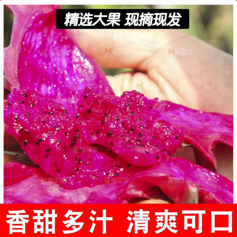 火龙果产地