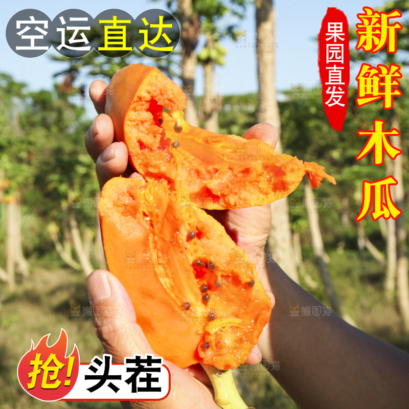 树上的木瓜