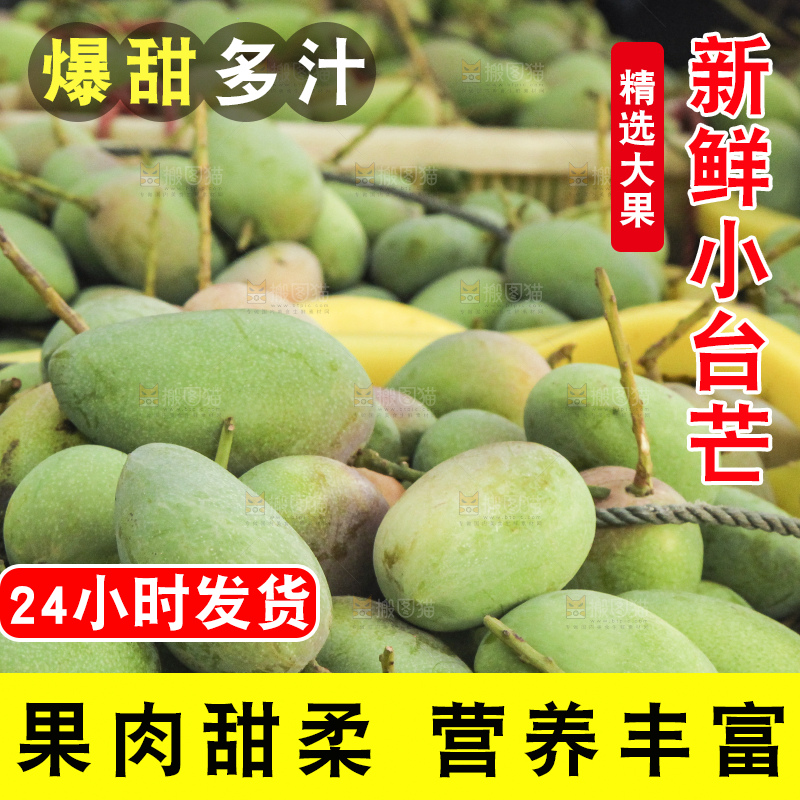 树上的小台芒