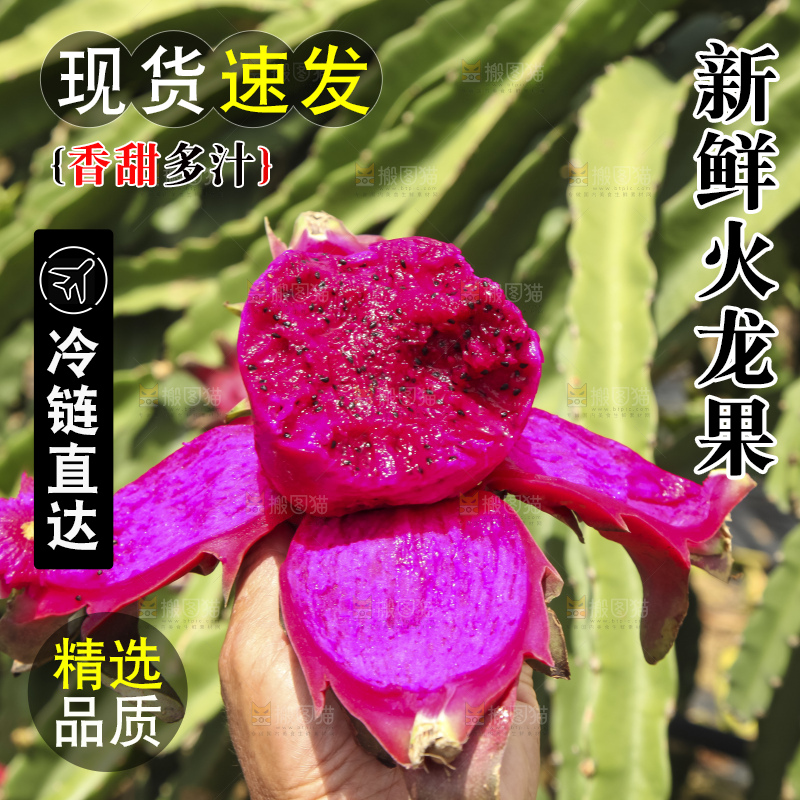火龙果产地