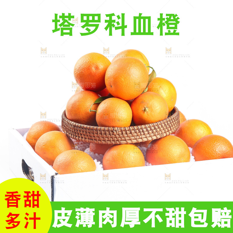 白底上的玫瑰血橙