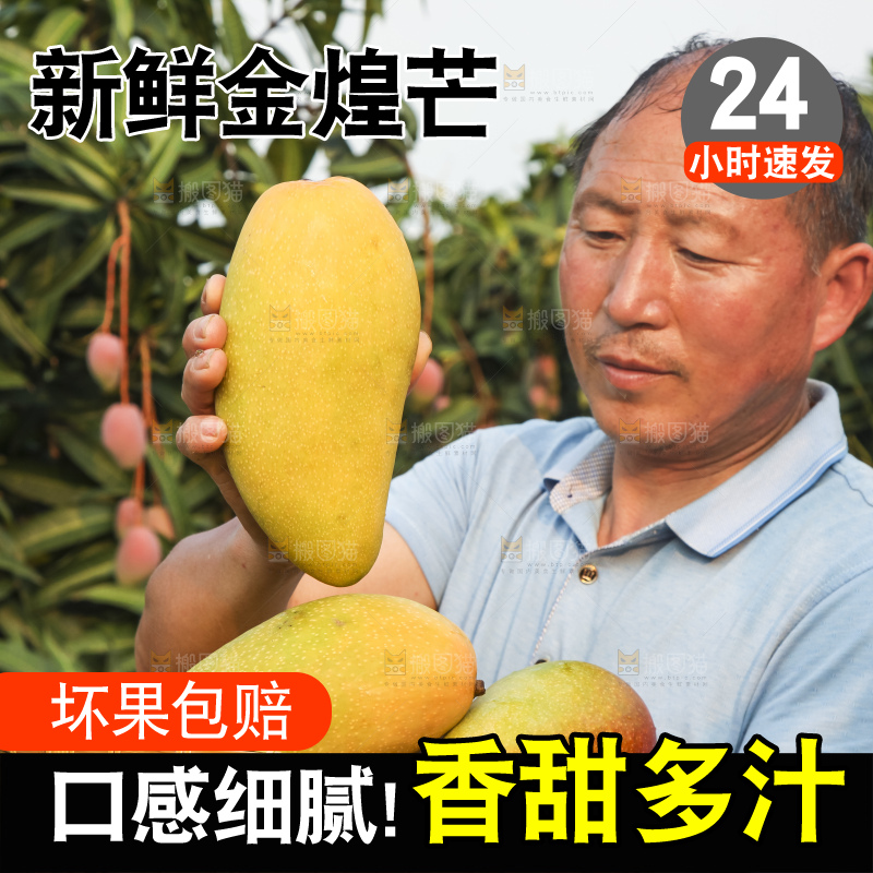 手里拿着金煌芒