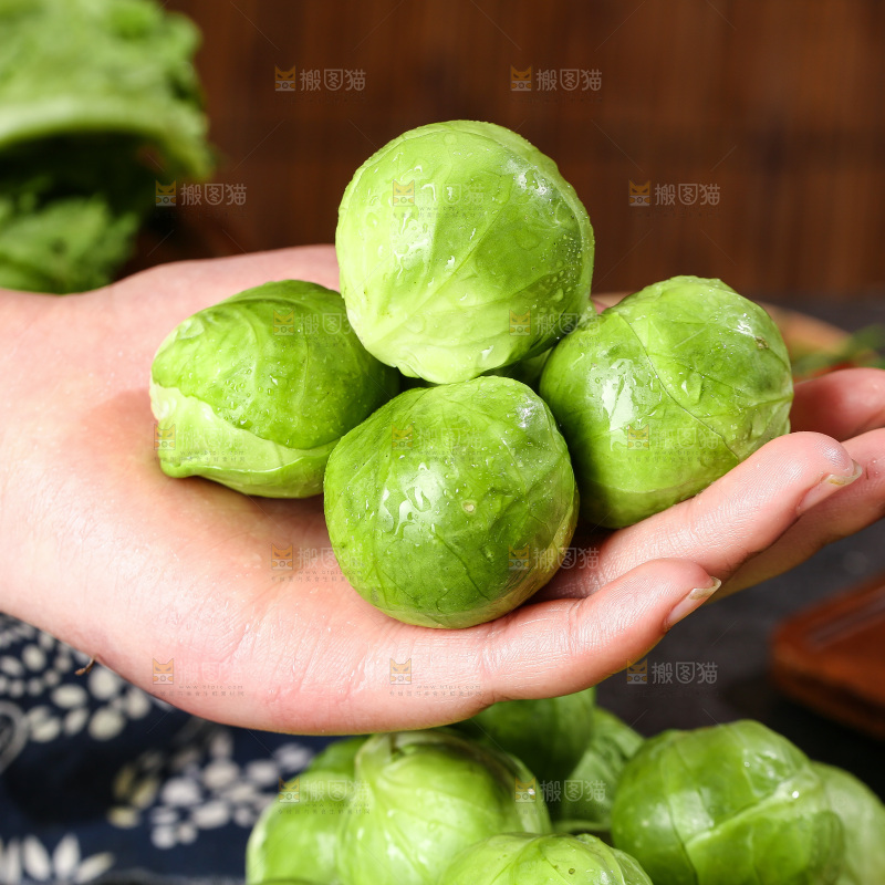 深底上的孢子甘蓝