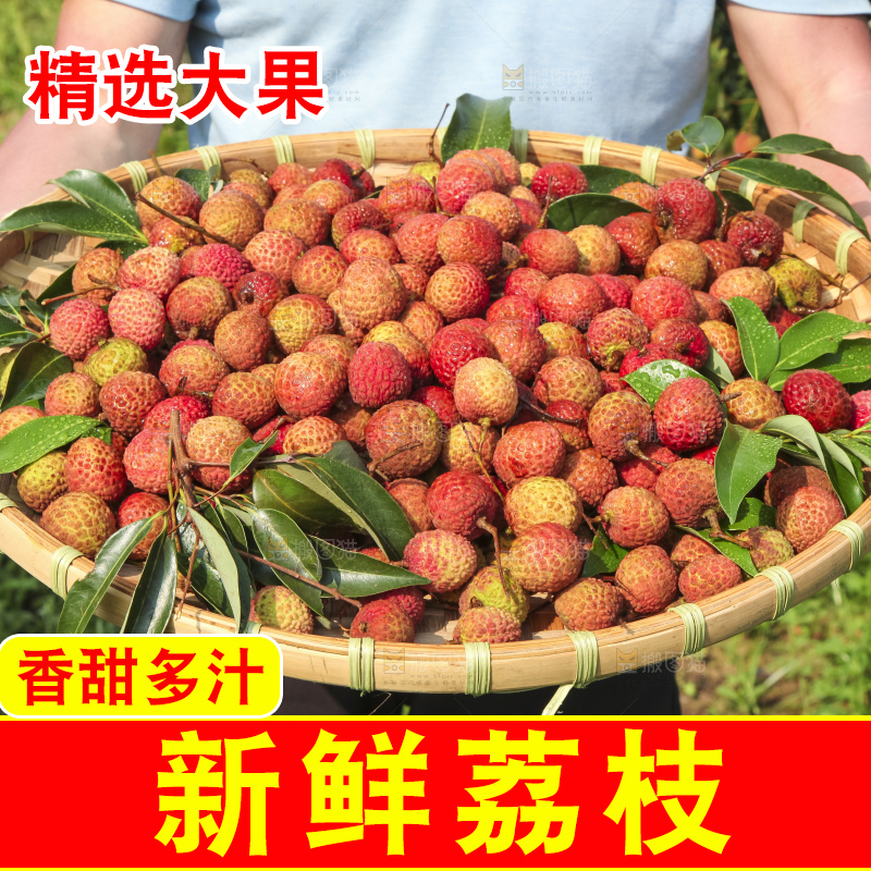 树上的荔枝