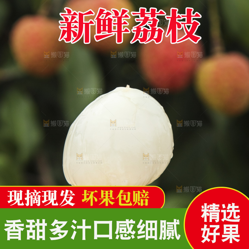 树上的荔枝