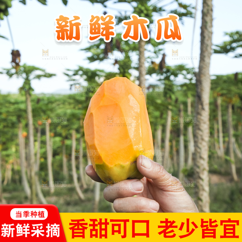 树上的木瓜