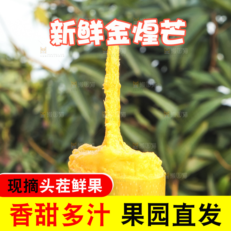 手里拿着金煌芒