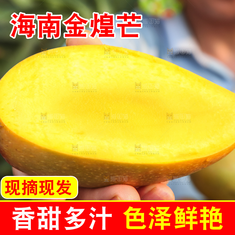 手里拿着金煌芒