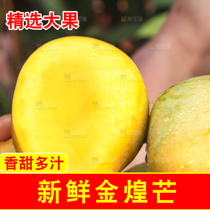 手里拿着金煌芒