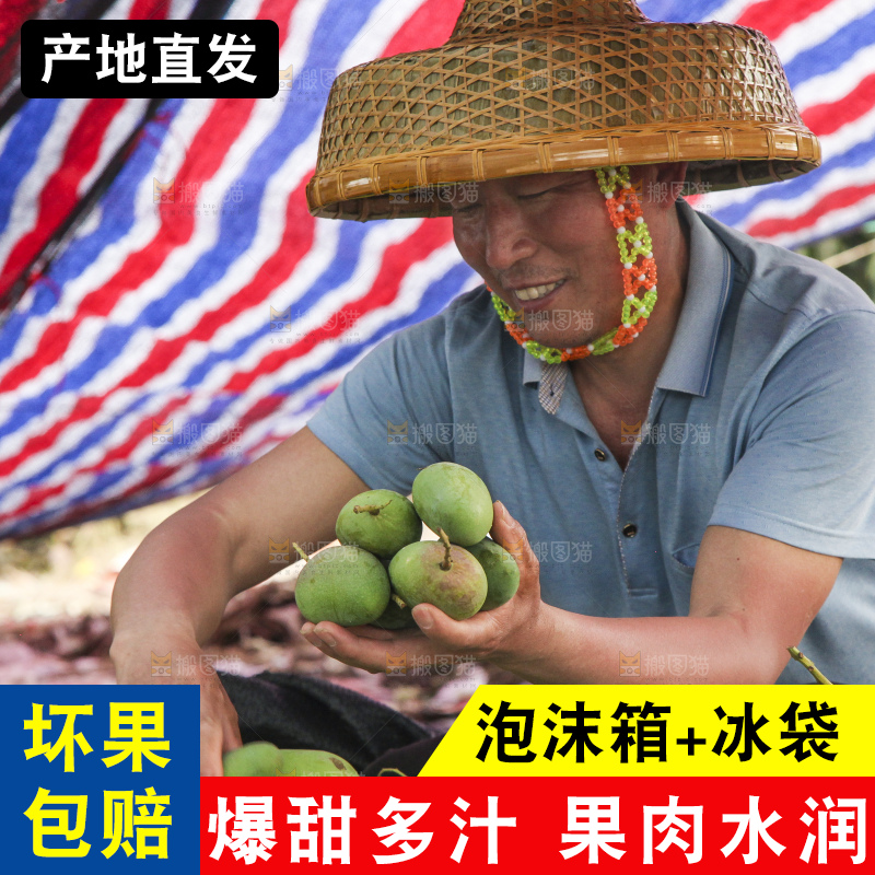 树上的小台芒
