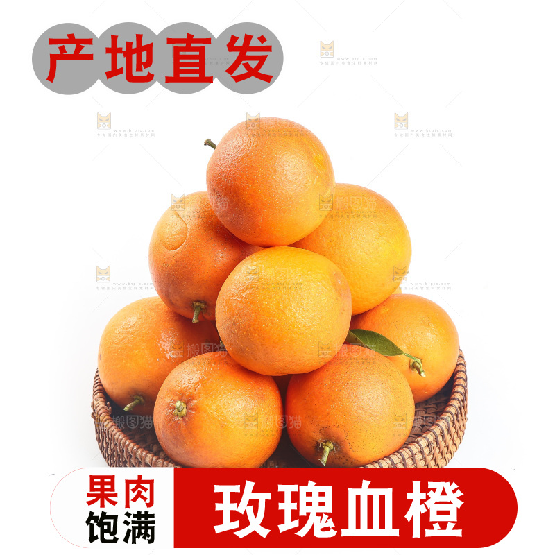 白底上的玫瑰血橙