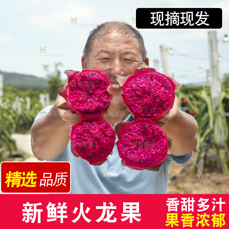 火龙果产地