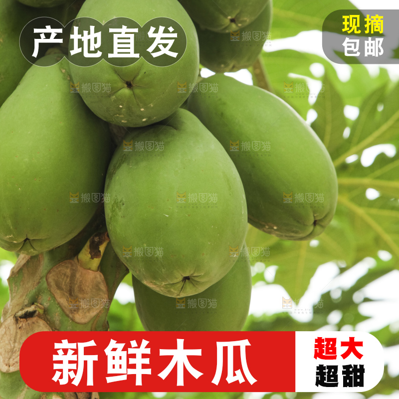 树上的木瓜
