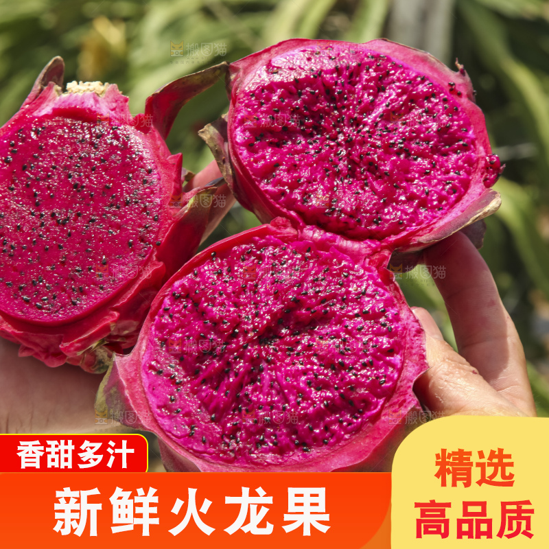 火龙果产地