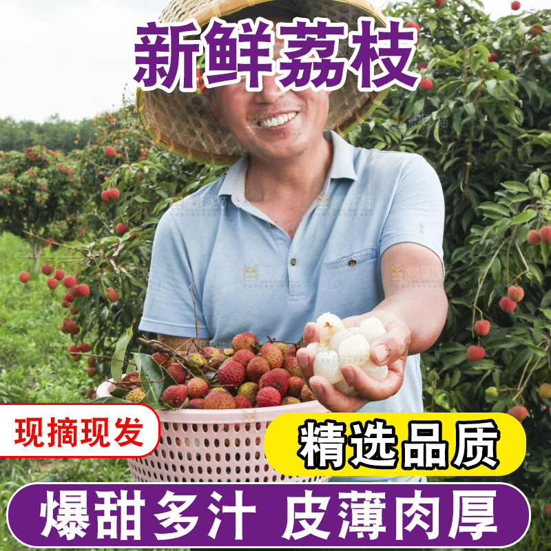 树上的荔枝