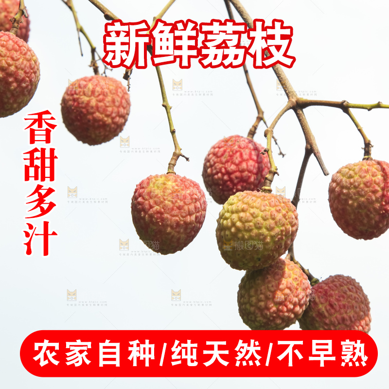 树上的荔枝