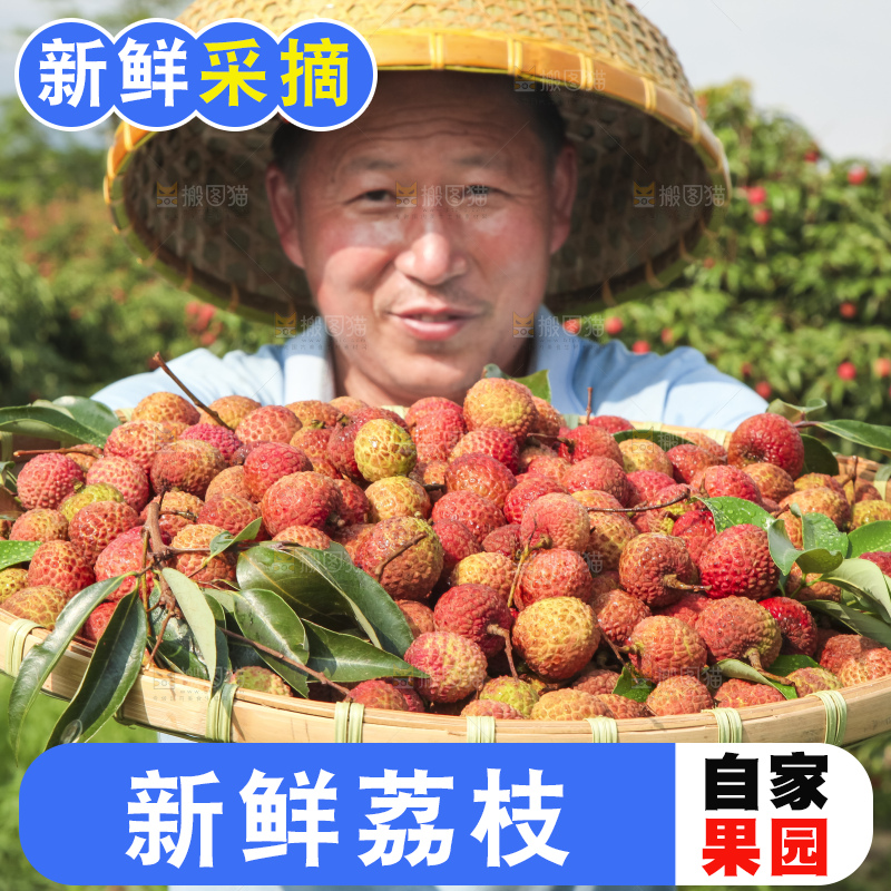 树上的荔枝