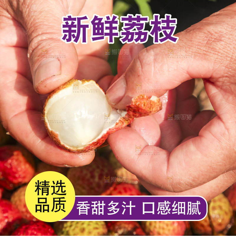 树上的荔枝
